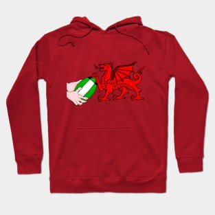 Wales Rugby Flag Hoodie